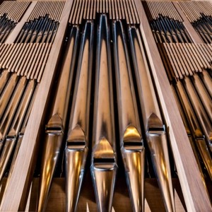 Die Orgel des Brucknerhauses Linz © Rita Newman