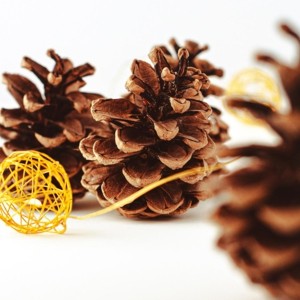 Musikalischer Adventkalender © A.L. Kraml