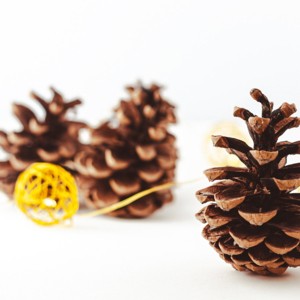 Musikalischer Adventkalender © A.L. Kraml