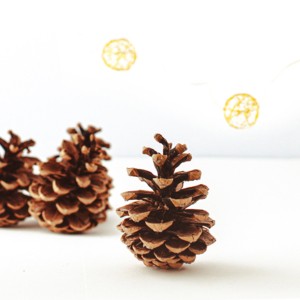 Musikalischer Adventkalender © A.L. Kraml