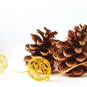 Musikalischer Adventkalender © A.L. Kraml