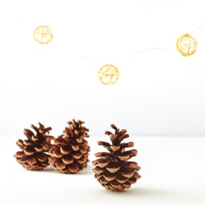 Musikalischer Adventkalender © A.L. Kraml
