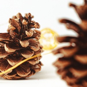 Musikalischer Adventkalender © A.L. Kraml