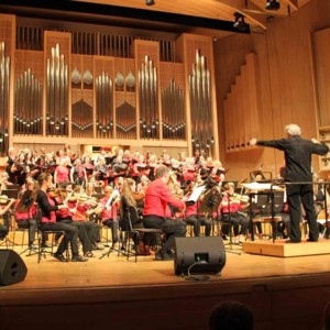 Symphonisches Orchester der Musikschule Linz © Markus Barth