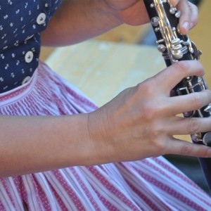 2. Musikantenball des OÖ Volksliedwerks © O.Ö. Volksliedwerk