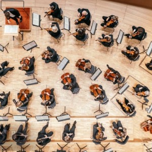 Große Orchester Saison 26-27 © Floris Fortin