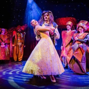 Die Schöne und das Biest 2027 © Theater Liberi / Nilz-Böhme