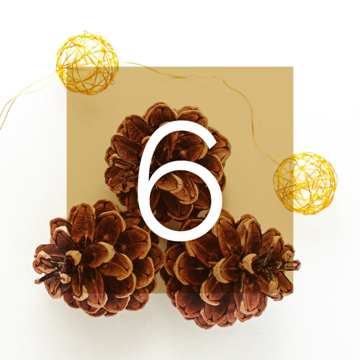 Musikalischer Adventkalender 2024
