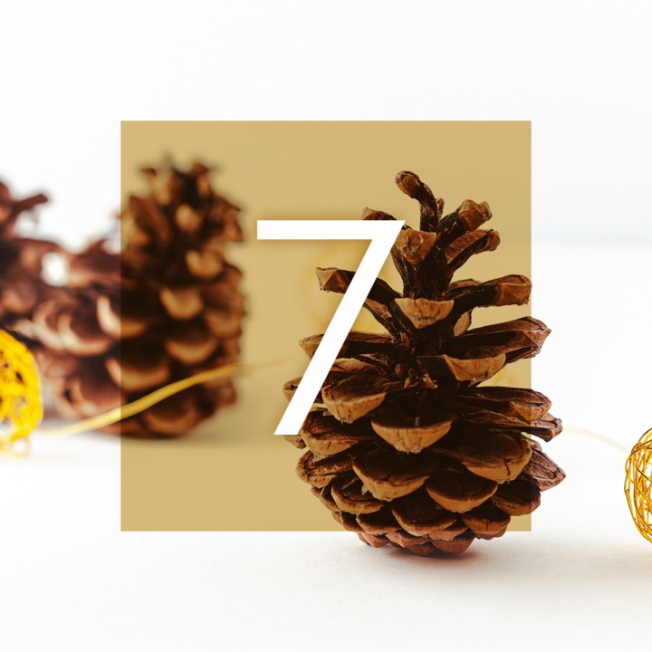 Musikalischer Adventkalender 2024