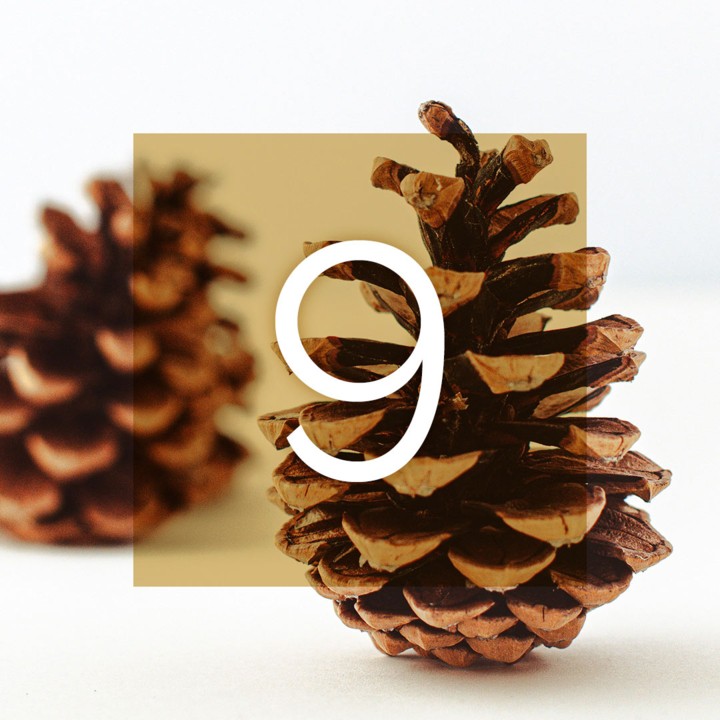 Musikalischer Adventkalender 2024