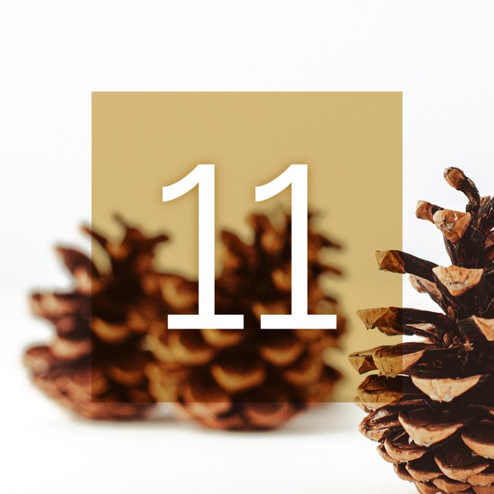 Musikalischer Adventkalender 2024