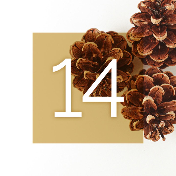 Musikalischer Adventkalender 2024
