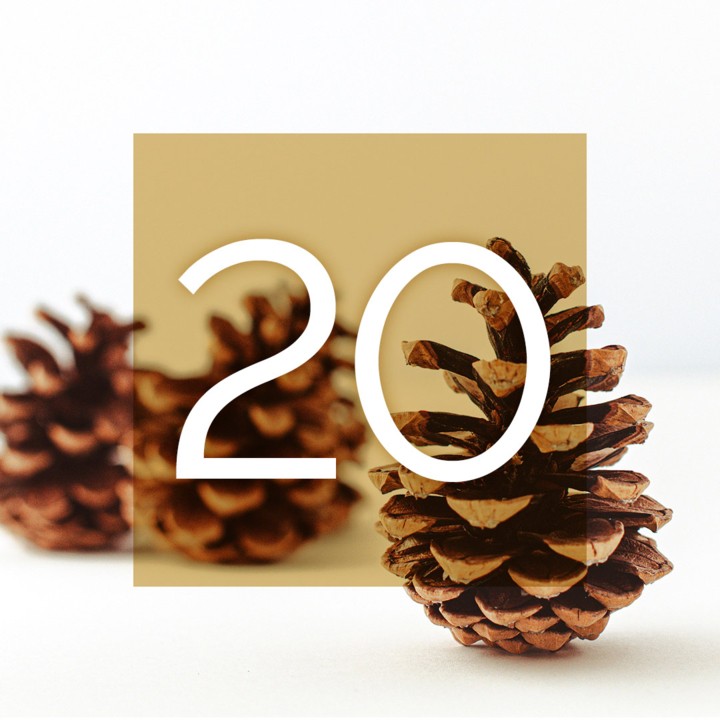 Musikalischer Adventkalender 2024