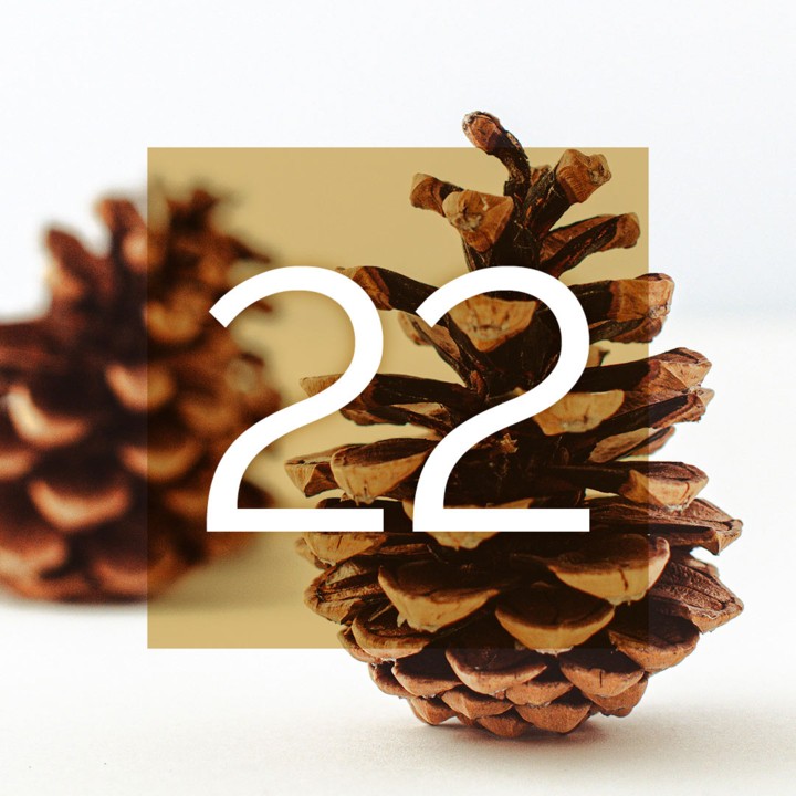Musikalischer Adventkalender 2024
