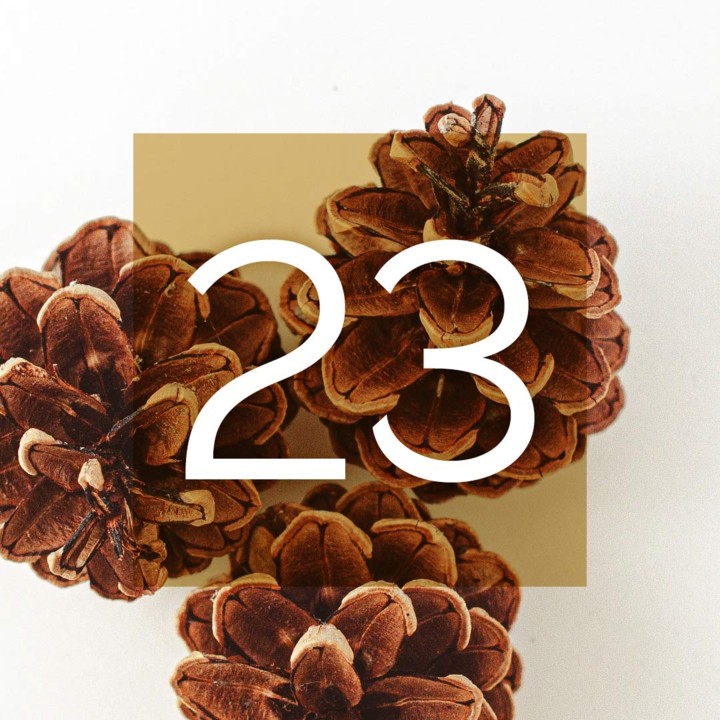Musikalischer Adventkalender 2024