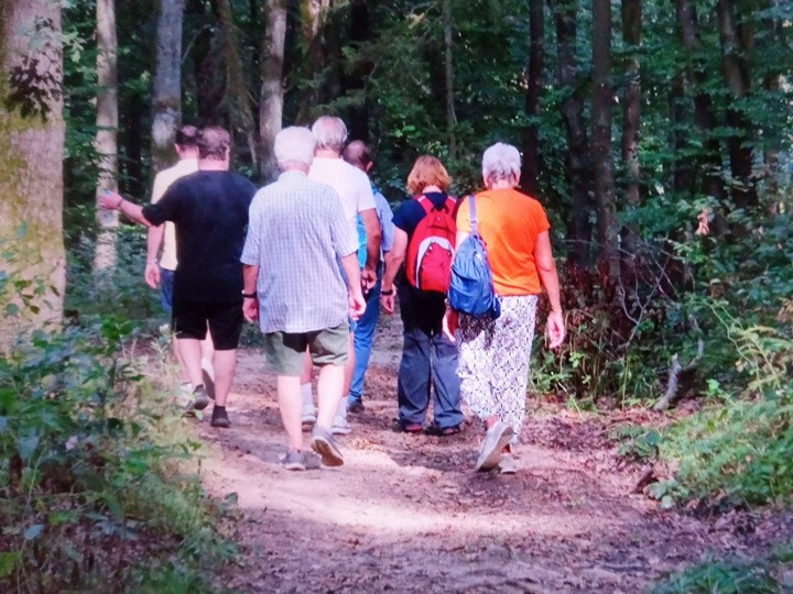Klangwald (Kürnberger Wald, 1.9.2024)