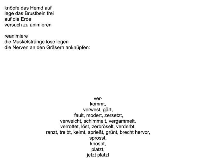 Text Natascha Gangl