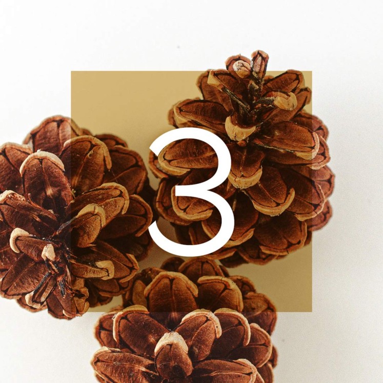 Musikalischer Adventkalender © A. L. Kraml