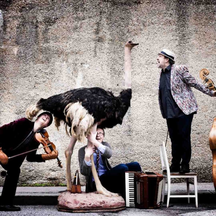 The Flying Schnörtzenbrekkers © Julia Wesely