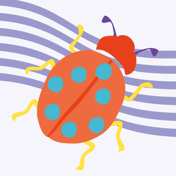 Junges Brucknerhaus / Brucknerhäuschen 1+