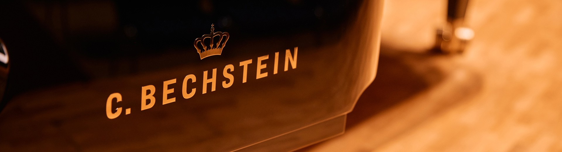 C. Bechstein Klavierabende © Raphael Mittendorfer
