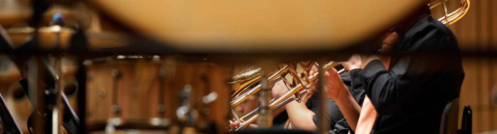 Große Orchester © Reinhard Winkler